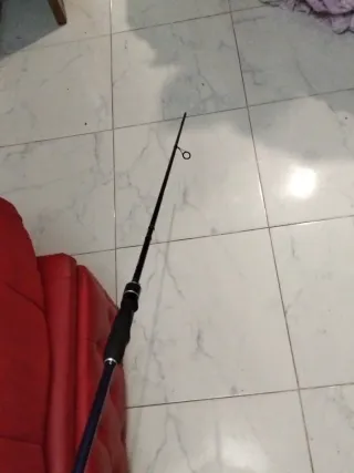 Caña de pesca y carrete