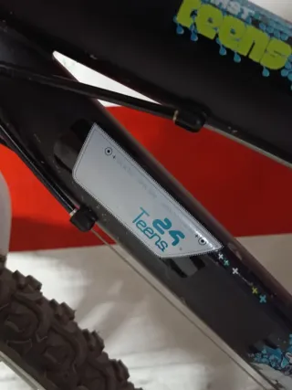 Bicicleta infantil 24 pulgadas