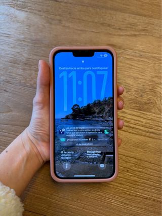 Funda Rhode para iPhone 13 Pro Max