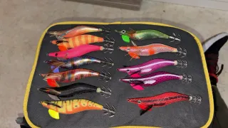 12 Pajaritas Jastuis Eging