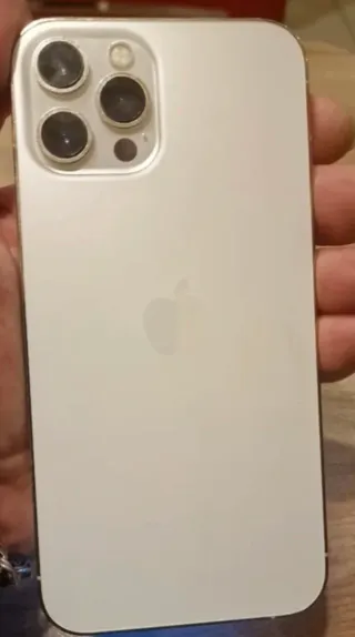 iPhone 12  Multicolor