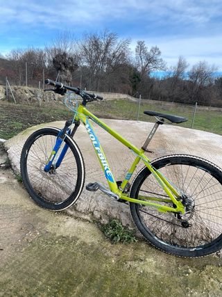 Bicicleta MTB Wolfbike Verde/Azul