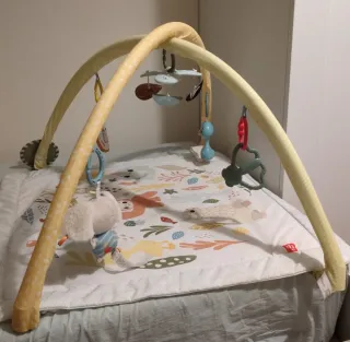 Gimnasio infantil Fisher-Price Despierta sentidos