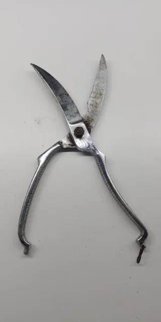 Forbici antiche per taglio pollame da cucina