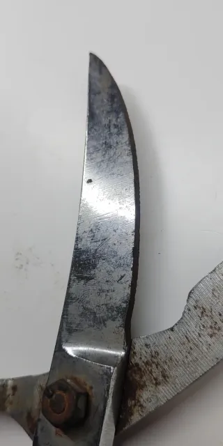 Forbici antiche per taglio pollame da cucina