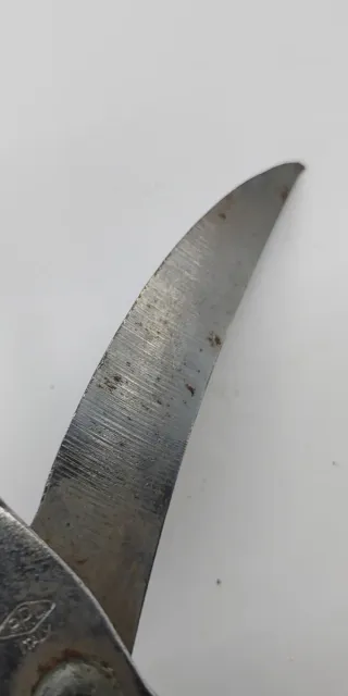 Forbici antiche per taglio pollame da cucina