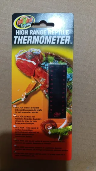 Terrario Naturalistic