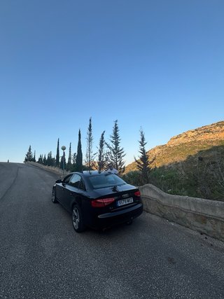 Audi A4 B8 reptiling