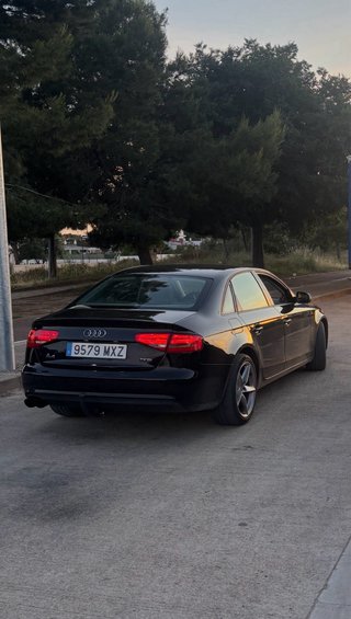 Audi A4 B8 reptiling