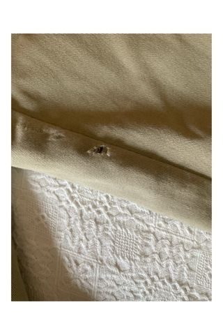 Pantaloni casual Dickies beige