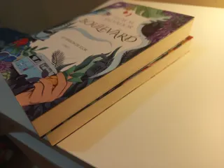 Boulevard. Libro 1/Boulevard libro 2, después d él