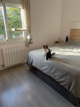 Limpieza Profunda para tu hogar.