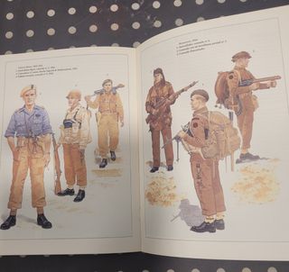 Soldados de las Guerras del Siglo XX (fascículos)