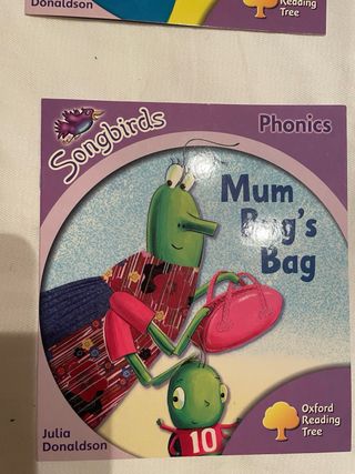 Oxford Reading Tree Songbirds Phonics Stage 1