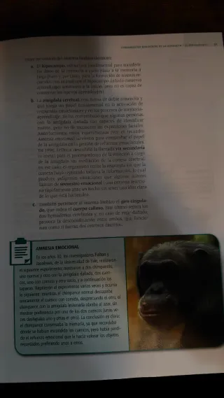 Psicología Teoría 2º Bachillerato