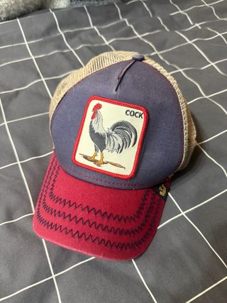 Gorra Goorin Bros Gallo