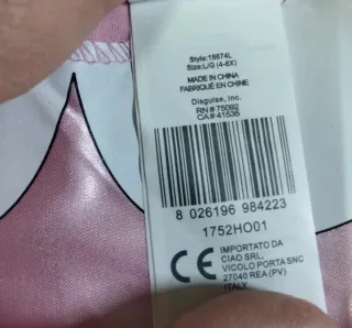 Vestito Minnie Disney Carnevale 4/6 anni