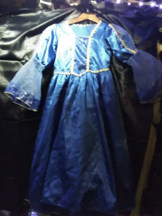 Disfraz Princesa Azul y Dorado