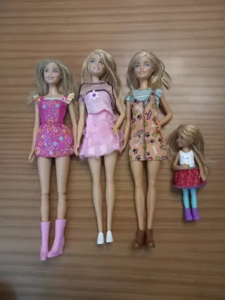 Casa de Muñecas Barbie Plegable Tienda de animales