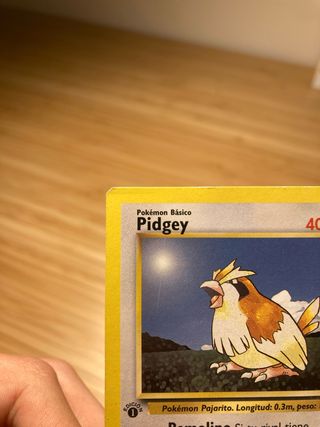 Carta Pokémon Pidgey Básico 40 HP