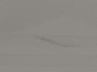 cafetera capsulas sgl smarty