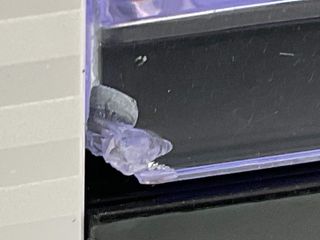 cafetera capsulas sgl smarty