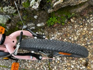 Bici de equilibrio y pedales