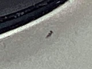 apple iphone 17 pro 256gb