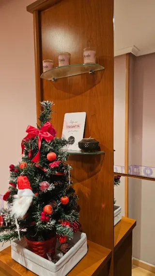 RECIBIDOR entrada con luz color Nogal DE CALIDAD