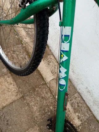 Bicicleta Riamo Y20 Verde