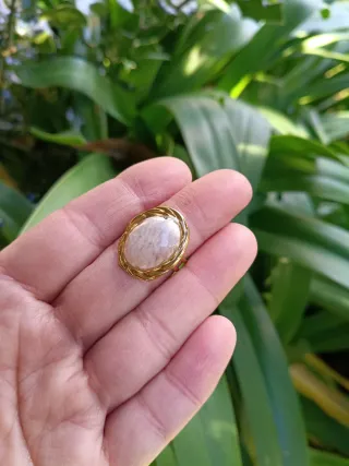 Anillo pétalo orquídea encapsulada