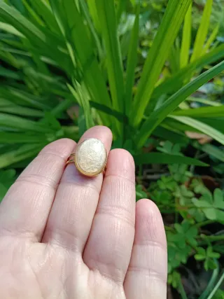 Anillo ajustable orquídea encapsulada