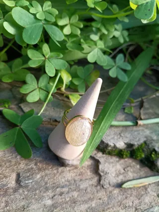 Anillo ajustable orquídea encapsulada