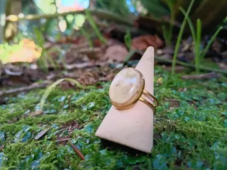 Anillo ajustable orquídea encapsulada