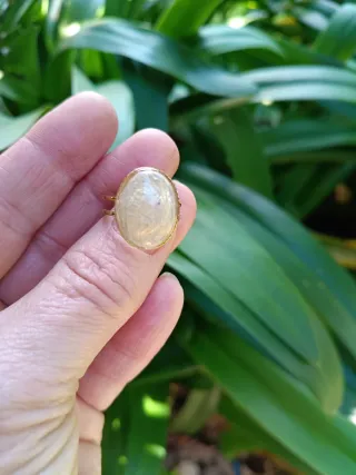 Anillo ajustable orquídea encapsulada