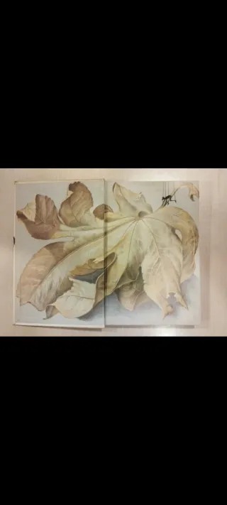 Cuento "Las aventuras de Alicia", de Lewis Carrol.