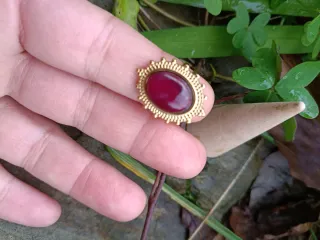 Anillo ajustable pétalos rosa encapsulada
