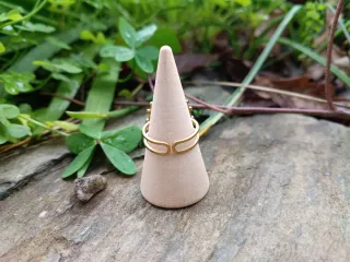 Anillo ajustable pétalos rosa encapsulada