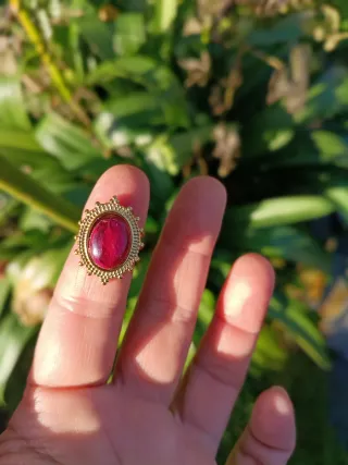 Anillo ajustable pétalos rosa encapsulada