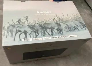 Altavoz Audio Pro C10 mkii