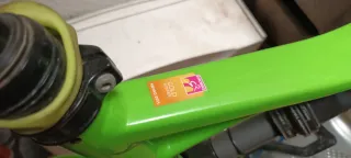 Bicicleta eléctrica de montaña