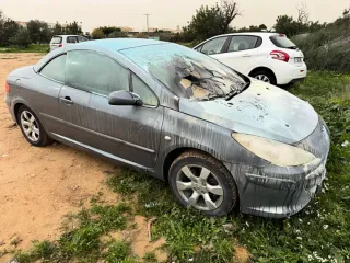 Peugeot 307 2006