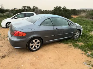Peugeot 307 2006