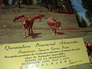 13 Carteles Antiguos Publicidad Calendario