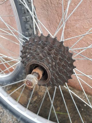 Ruedas Bici 24 (Juego)