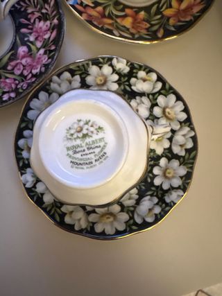 Royal Albert Provincial Flowers Tazze e Piattini