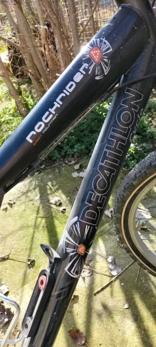 Bicicleta de Montaña