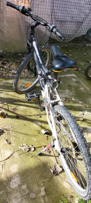 Bicicleta de Montaña