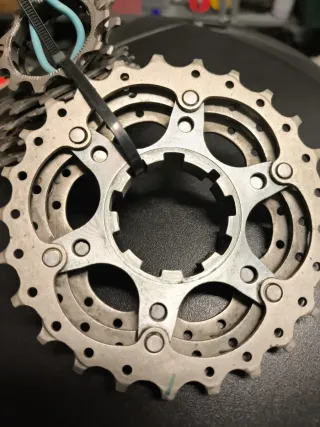 Piñonera Carretera Bicicleta