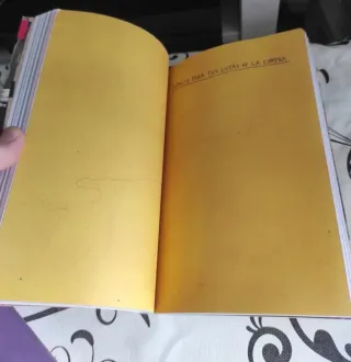 Destroza este diario